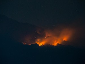 Kebakaran Gunung Lawu Nyaris sampai ke Puncak Hargo Dalem