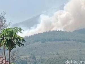 185 Hektare Lahan Gunung Lawu Terbakar, 3 Titik Masih Dipantau