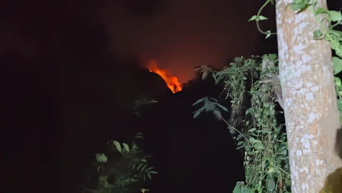 lereng Gunung Argopuro terbakar