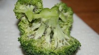 Mencuci makanan hingga ke bagian terkecilnya wajib dilakukan sebelum memasak. Jangan sampai seperti netizen yang hampir menelan brokoli penuh serangga ini. Foto: Bored Panda