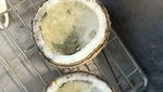 Jijik! Alami Momen Apes, 10 Makanan Netizen Diganggu Serangga