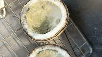 Menikmati air kelapa muda, seorang netizen tak menaruh curiga. Setelah kelapanya dibelah ia melihat bagian dalam kelapa yang ternyata sudah berjamur. Foto: Bored Panda