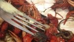 Jijik! Alami Momen Apes, 10 Makanan Netizen Diganggu Serangga