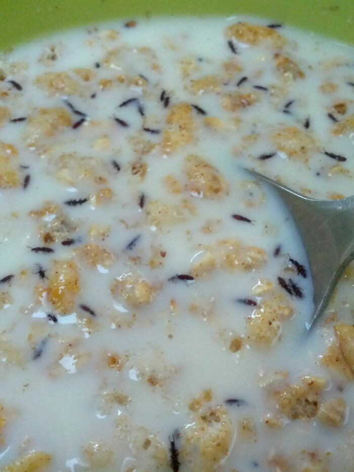 Makanan menjijikkan Jijik! Alami Momen Apes, 10 Makanan Netizen Diganggu Serangga