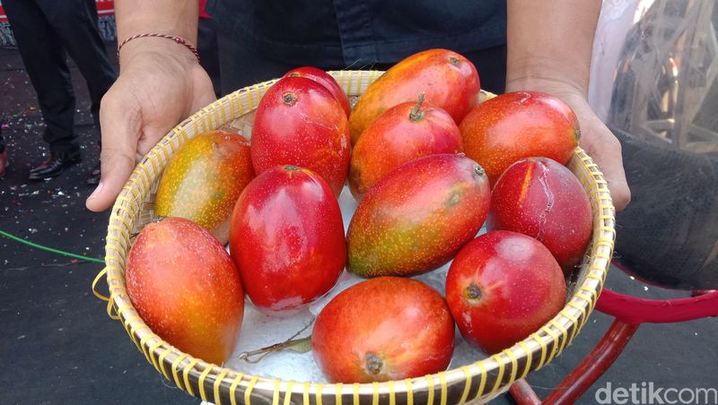 Mangga Garifta Merah Indramayu