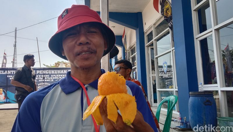 Mangga Garifta Merah Indramayu