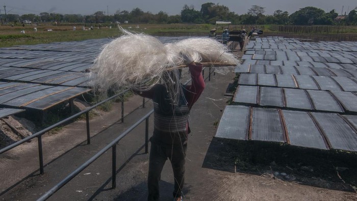 Pekerja membawa mi soun setelah proses jemur di Ngawen, Klaten, Jawa Tengah, Jumat (6/10/2023). Mi soun yang diproduksi secara tradisional dengan memanfaatkan cahaya matahari untuk proses pengeringan itu, saat musim kemarau ini dapat mengolah bahan tepung aren kurang lebih sebanyak 500 kilogram per hari yang dijual dengan harga Rp23 ribu per kilogram mi soun. ANTARA FOTO/Aloysius Jarot Nugroho/rwa.