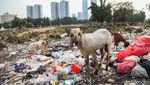 Mengais Asa di Kampung Pemulung Menteng Atas