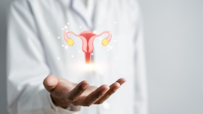 Bakal Ada Medical Check Up Gratis, Ini Usul BKKBN soal Kesehatan Reproduksi