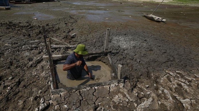 Perjuangan Warga Brasil Menggali Sungai Kering untuk Dapatkan Air Isac Cicero Rodrigues digs into the dry bed of Puraquequara lake to obtain water amid a severe drought, in Manaus, Amazonas state, Brazil, Thursday, Oct. 5, 2023. The Brazilian Amazon rainforest is facing a severe drought that may affect around 500,000 people by the end of the year. (AP Photo/Edmar Barros)