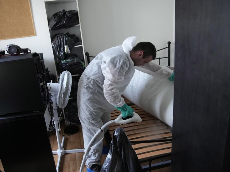 Bersih-bersih Apartemen di Paris Saat Diinvasi Kutu Busuk
