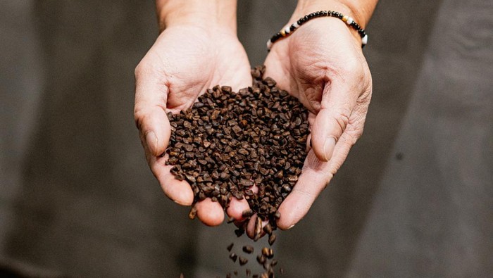Wujud Kopi Tanpa Biji Pertama di Dunia Atomo Coffee's 'beanless coffee', which uses superfoods and upcycled ingredients to mimic the molecular structure of coffee, is seen in this handout picture obtained by Reuters on September 29, 2023. Atomo Coffee/Handout via REUTERS. THIS IMAGE HAS BEEN SUPPLIED BY A THIRD PARTY.