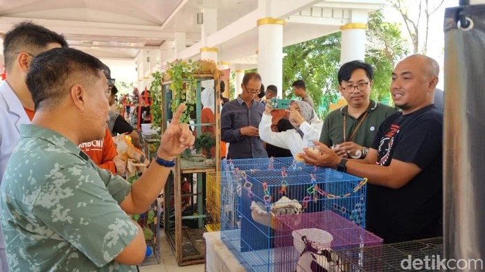 Dinas Peternakan dan Kesehatan Hewan (DPKH) Kabupaten Bone melaksanakan vaksinasi massal bagi hewan di Lapangan Merdeka. (Agung Pramono/detikSulsel).