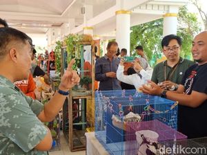Pemkab Bone Gelar Vaksinasi Massal Buntut 383 Warga Digigit Anjing Rabies