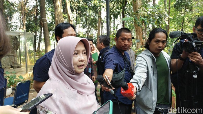 Dirjen Pengendalian Perubahan Iklim Kementerian Lingkungan Hidup dan Kehutanan (KLHK) Laksmi Dewanti (Tina Susilawati/detikcom)