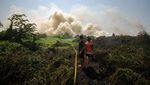 Kebakaran Lahan Makin Banyak, Kini Terjadi di Sidoarjo