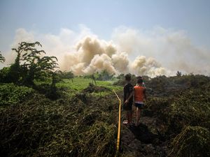Kebun PTPN III Cinta Manis Disegel Buntut Karhutla