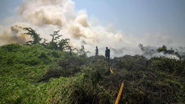 Kebakaran Hutan Makin Banyak, Kini Terjadi di Sidoarjo Petugas pemadam kebakaran berusaha memadamkan api yang membakar lahan di kawasan Gedangan, Sidoarjo, Jawa Timur, Sabtu (7/10/2023). Sebanyak empat unit mobil Pemadam Kebakaran (PMK) dikerahkan ke lokasi tersebut dan belum diketahui penyebab kebakaran tersebut. ANTARA FOTO/Umarul Faruq/YU