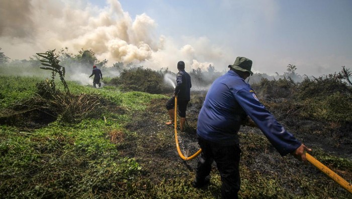 Petugas pemadam kebakaran berusaha memadamkan api yang membakar lahan di kawasan Gedangan, Sidoarjo, Jawa Timur, Sabtu (7/10/2023). Sebanyak empat unit mobil Pemadam Kebakaran (PMK) dikerahkan ke lokasi tersebut dan belum diketahui penyebab kebakaran tersebut. ANTARA FOTO/Umarul Faruq/YU