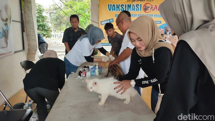Kucing di Ciamis divaksinasi rabies di Taman Jambansari, Sabtu (7/10/2023).