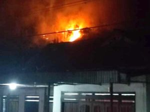 Hutan Jati 3 Hektare di Kawasan Perhutani Tulungagung Terbakar