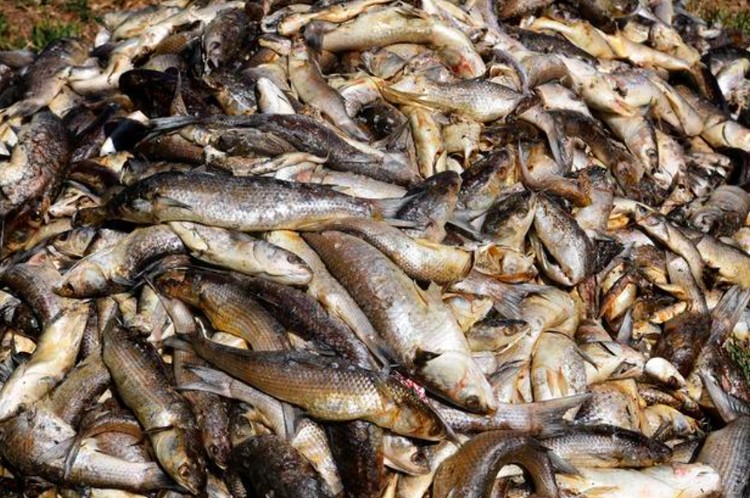Potret perubahan iklim Potret perubahan iklim