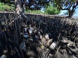 Menakjubkan Sekaligus Mengerikan, Potret Parahnya Perubahan Iklim