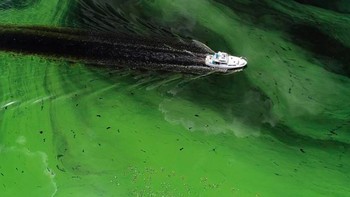 Seorang nelayan naik perahu karet dikelilingi oleh cyanobacteria yang membusuk di Waduk Air Kyiv dekat Kyiv, Ukraina, pada 15 November 2020. Wilayah ini diguncang oleh cuaca panas ekstrem sepanjang tahun 2020, mengakibatkan kerusakan luas pada tanaman pertanian dan rusaknya habitat alami beberapa spesies. Foto: CBS News