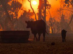 Menakjubkan Sekaligus Mengerikan, Potret Parahnya Perubahan Iklim