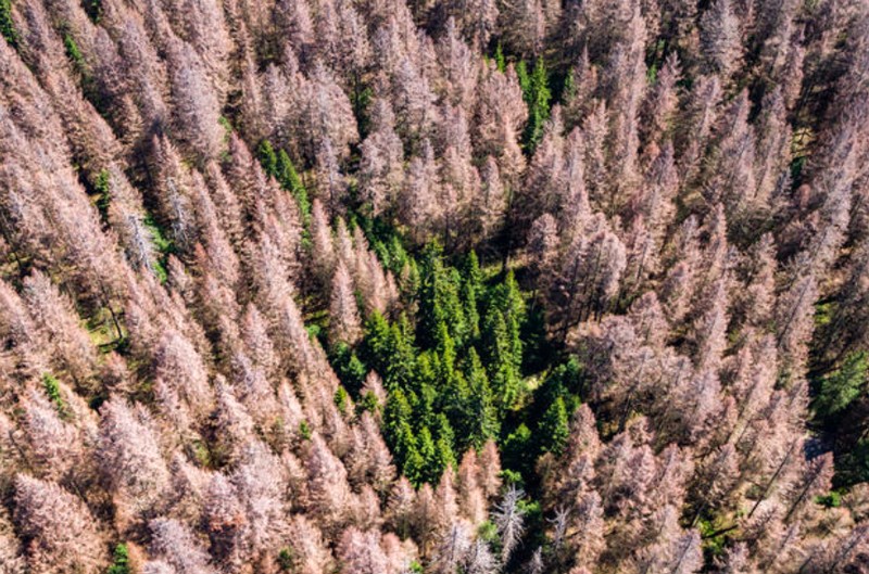 Potret perubahan iklim