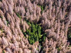 Menakjubkan Sekaligus Mengerikan, Potret Parahnya Perubahan Iklim