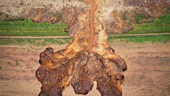 Pemandangan tanah longsor di tepi tebing dan pantai di desa Happisburgh, Inggris, pada 27 Januari 2021. Perubahan iklim global, yang diakibatkan oleh badai dan gelombang besar, telah menyebabkan pantai timur Inggris kehilangan hingga satu meter garis pantai setiap tahunnya. Foto: CBS News