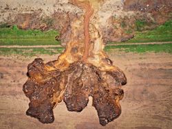 Menakjubkan Sekaligus Mengerikan, Potret Parahnya Perubahan Iklim