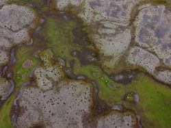 Menakjubkan Sekaligus Mengerikan, Potret Parahnya Perubahan Iklim