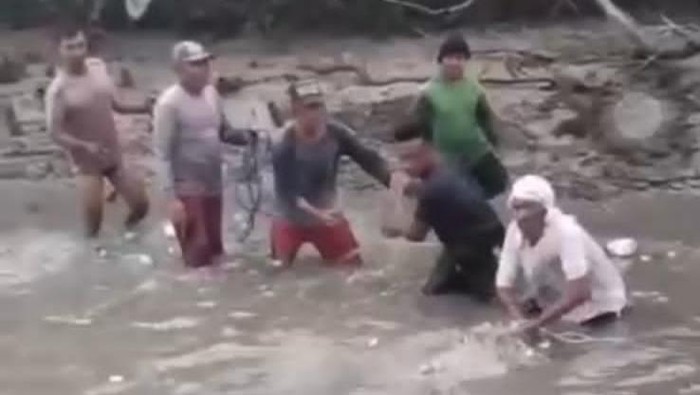 viral buaya sidoarjo
