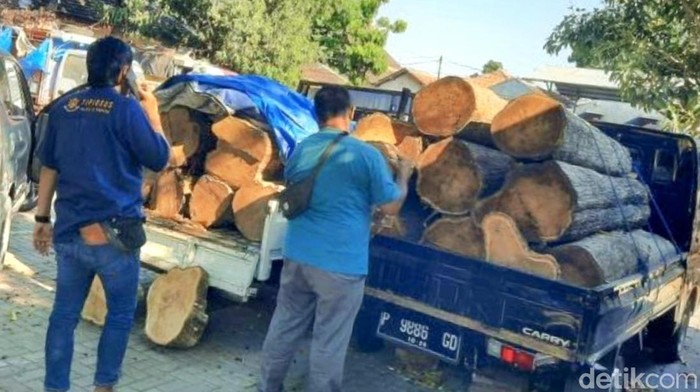 Barang bukti pikap dan kayu yang diamankan dari pelaku pembalakan liar di TN Baluran, Situbondo.