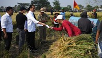 Jokowi juga menyerahkan bantuan kepada para petani.  