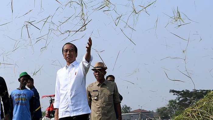 Presiden Joko Widodo (ketiga kanan) didampingi Plt Menteri Pertanian Arief Prasetyo Adi (kedua kiri) meninjau panen padi di area persawahan Kelompok Tani Mukti Tani IV, Desa Ciasem Girang, Ciasem, Subang, Jawa Barat, Minggu (8/10/2023). Dalam kesempatan itu Presiden Jokowi meninjau panen padi di sawah seluas 500 hektare dan membagikan bantuan secara langsung kepada para petani. ANTARA FOTO/Sigid Kurniawan/aww.