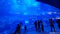 Dubai Mall memiliki banyak tempat berbelanja barang-barang branded. Tak hanya itu, di Dubai Mall juga ada aquarium besar yang berisi banyak hiu dan juga pari serta ikan-ikan kecil lainnya. Foto: Lusiana Mustinda/detikcom