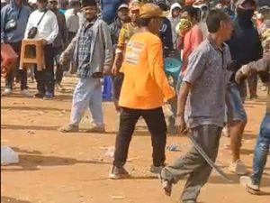 Karapan Sapi di Bangkalan Ricuh, Pendukung Peserta Bentrok Bawa Sajam