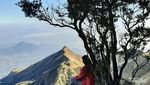 Mendaki Gunung Merbabu via Suwanting, Pemandangannya Amazing!