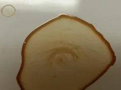 Kumpulan Foto yang Terjadi Tidak Sengaja Tapi Hasilnya Keren