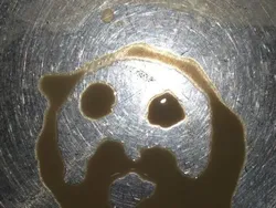 Kumpulan Foto yang Terjadi Tidak Sengaja Tapi Hasilnya Keren