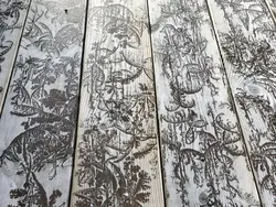 Kumpulan Foto yang Terjadi Tidak Sengaja Tapi Hasilnya Keren