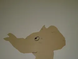 Kumpulan Foto yang Terjadi Tidak Sengaja Tapi Hasilnya Keren