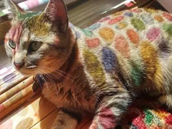 Kumpulan Foto yang Terjadi Tidak Sengaja Tapi Hasilnya Keren