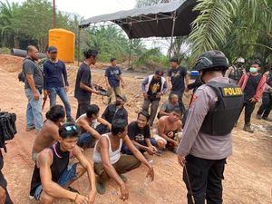 Beda Versi AMAN-Polisi soal Demo Kebun Sawit di Seruyan Berakhir Ricuh