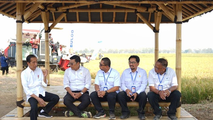 Presiden Joko Widodo (Jokowi) hari ini meninjau lahan pembudidayaan benih unggul di Subang.