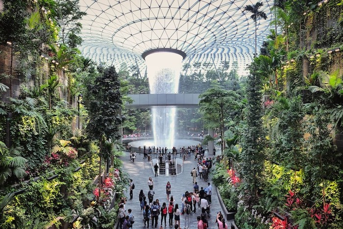 Bandara Changi Tawarkan Pengecekan Imigrasi Bebas Paspor, Ini Penjelasannya