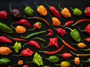 Bukan Buat Sambal, 5 Cabai Ini Cocoknya Diolah Jadi Perasa hingga Selai